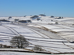 Picture of Tideslow Rake in the snow