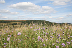 Photo of the western side of Hucklow Edge