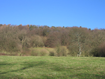 Photo of Hucklow woods