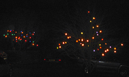 Photo of Christmas lights in Little Hucklow