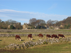 Picture of Old Chapel seen across the fields